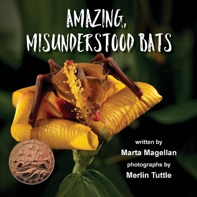 Amazing, Misunderstood Bats