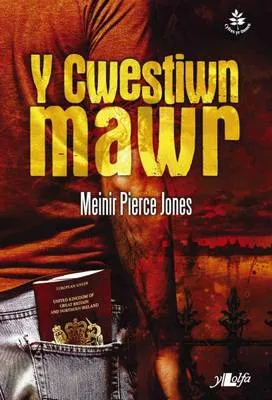 Y Cwestiwn Mawr