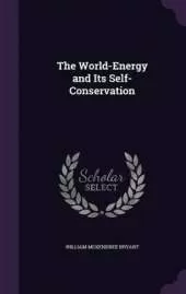 The World-Energy and Its Self-Conservation