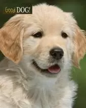 Good Dog!
