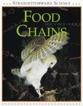 Straightforward Science: Food Chain