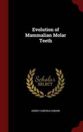 Evolution of Mammalian Molar Teeth