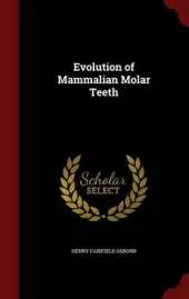 Evolution of Mammalian Molar Teeth