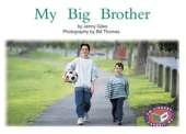 My Big Brother
