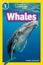 Whales: Level 1
