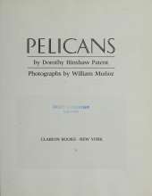 Pelicans