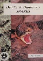 Literacy Magic Bean In Fact, Dangerous and Deadly Snakes Big Book (single)