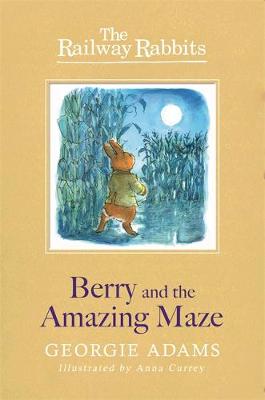 Railway Rabbits: Berry and the Amazing Maze: Book 12