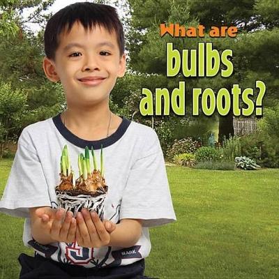 What are bulbs and roots?
