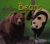 Bears