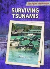 Children's True Stories: Natural Disasters Pack A