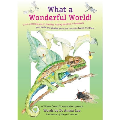 What A Wonderful World