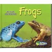 Frogs