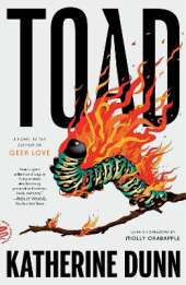 Toad: A Novel