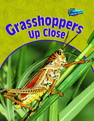 Grasshoppers Up Close