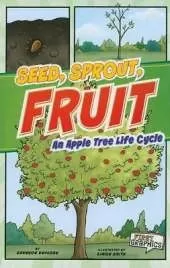 First Graphics Nature Cycles Seed, Sprout, Fruit an Apple Tree Life Cycle