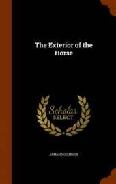 The Exterior of the Horse