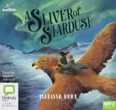 A Sliver of Stardust