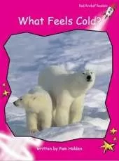 Red Rocket Readers: Emergent Non-Fiction Set A: What Feels Cold? Big Book Edition (Reading Level 2/F&P Level B)