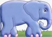 Elephant: Chunky Animals