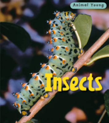 Insects