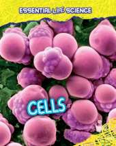 Cells