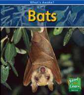 Bats