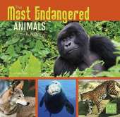 All About Animals Most Endangered Animals in the World