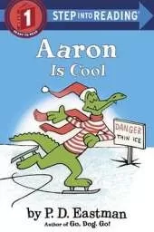 Aaron is Cool