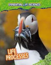 Life Processes