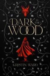 Dark is the Wood: A Young Adult Fantasy Romance