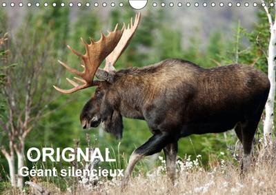 Orignal. Geant Silencieux: L'Orignal Du Canada Au Fil Des Quatre Saisons.