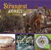 All About Animals Strangest Animals in the World