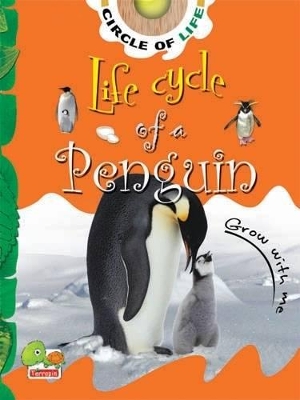 Life Cycle of a Penguin: Key stage 1