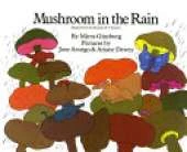 Mushroom in the Rain