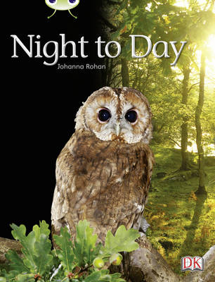 Bug Club Non-fiction Lilac Night to Day 6-pack