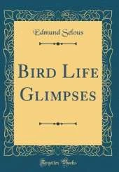 Bird Life Glimpses (Classic Reprint)