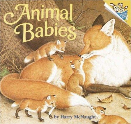 Animal Babies