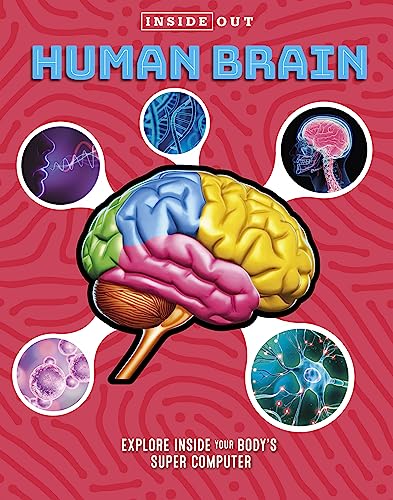 Inside Out Human Brain: Explore Inside Your Body's Super Computer