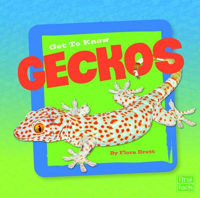 Get to Know Geckos (Get to Know Reptiles)