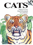 Literacy Magic Bean Infant Fiction, Cats Big Book (single)