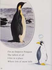 I am a Penguin