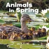 Celebrate Spring Pack A of 4