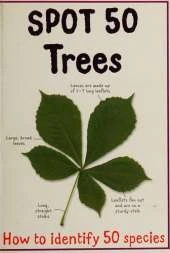 Spot 50 - Trees