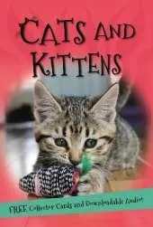 It's all about... Cats and Kittens