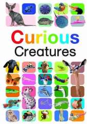 Curious Creatures