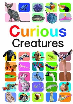 Curious Creatures