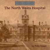 The North Wales Hospital