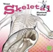 Your Body Systems Your Skeletal System Works