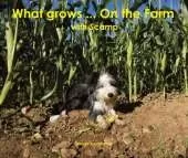 What Grows... On the Farm: with Scamp
